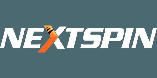 NS-কালার logo